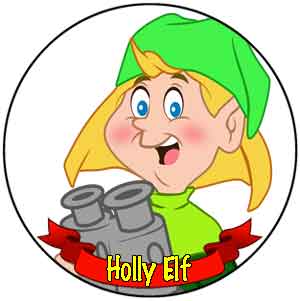 [Holly Elf]