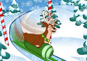 [Reindeer Compete in 2nd Round of Luge]